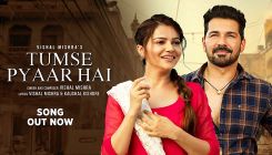 Tumse Pyaar Hai: Rubina Dilaik and Abhinav Shukla’s emotional story will leave you gutted in this soulful song