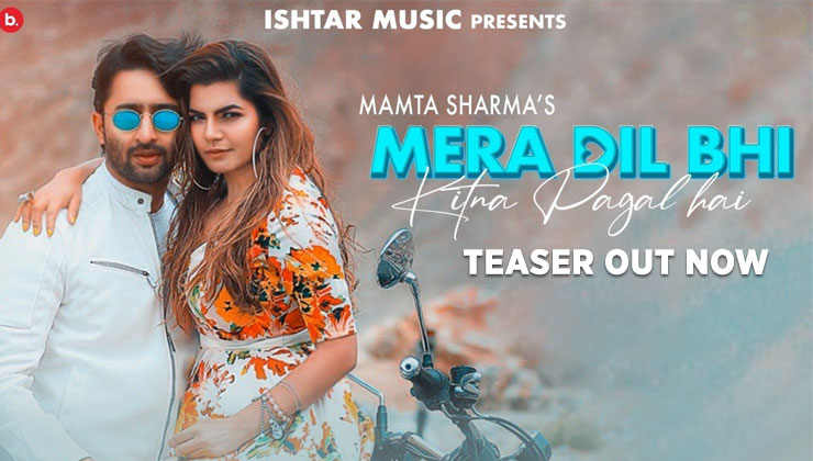 Shaheer Sheikh, Mera Dil Bhi Kitna Pagal Hai