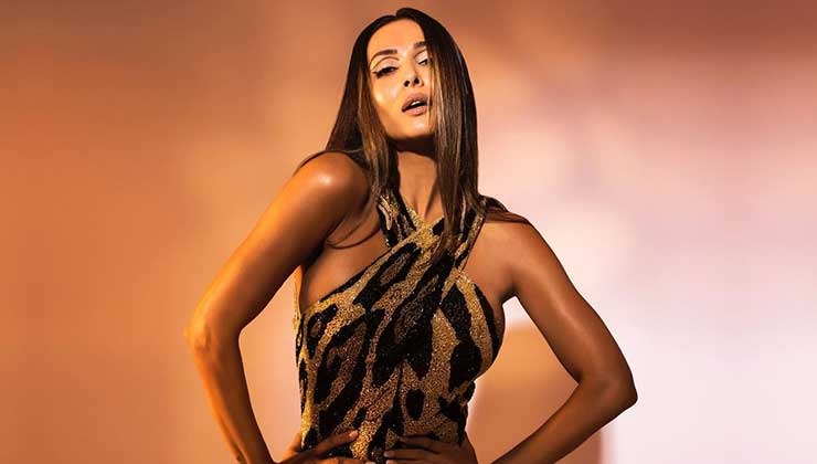 Malaika Arora slays in an animal print dress raising the mercury levels on gram
