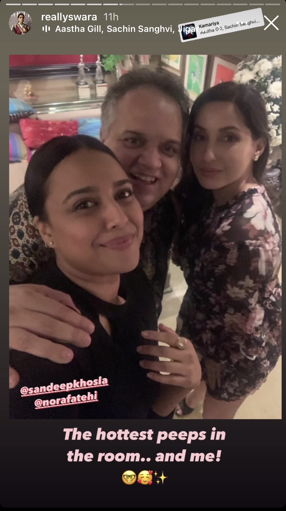 swara bhasker instagram story, 