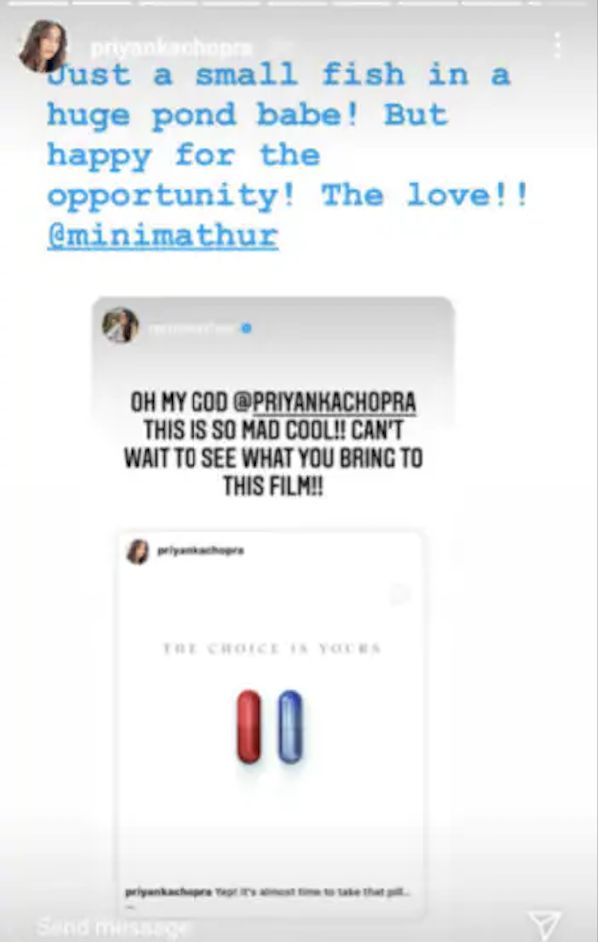 priyanka chopra instagram stories, pariyanka chopra reveals her matrix role, 