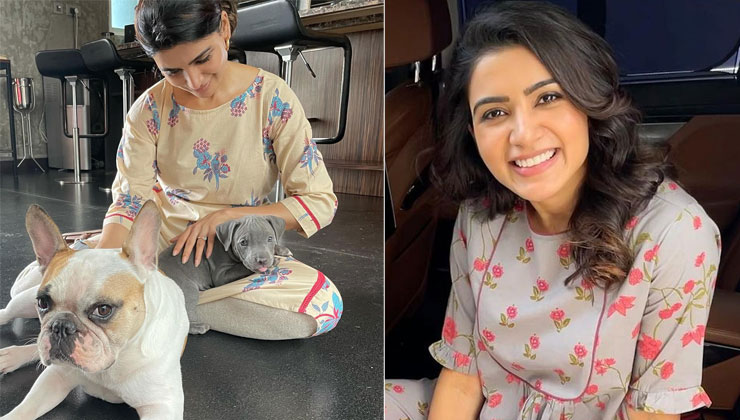 samantha akkineni, samantha akkineni dog, samantha akkineni pet dog, pet dog,