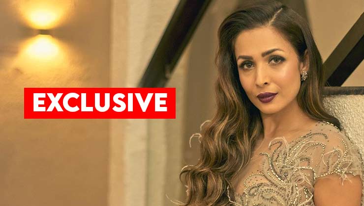 malaika arora, malaika arora on relationship, arjun kapoor, malaika arora arjun kapoor dating,