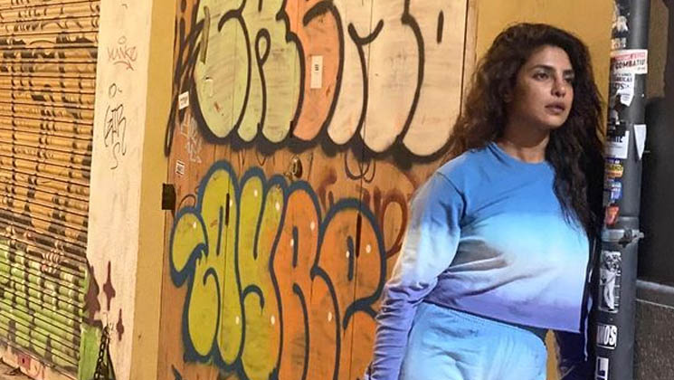 priyanka chopra, priyanka chopra jonas, priyanka new photo,