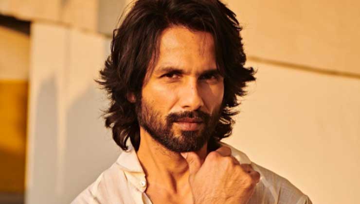shahid kapoor, bull,
