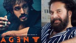 Mammootty to play a crucial role in Akhil Akkineni starrer Agent?
