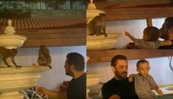 Salman Khan and niece Ayat have a priceless reaction as they feed bananas to Monkeys, video