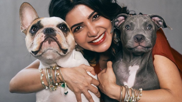 samantha, samatha ruth prabhu, samantha akkineni,