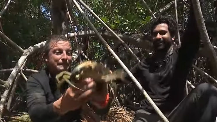 vicky kaushal into the wild trailer out