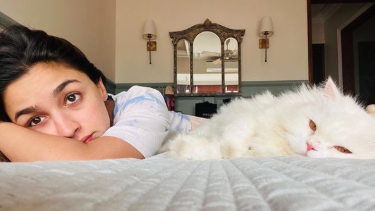 Alia Bhatt, brahmastra, RRR