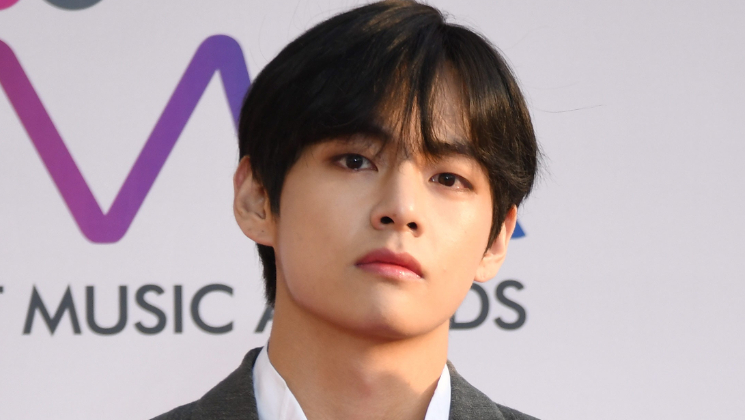 Our Beloved Summer, BTS, V