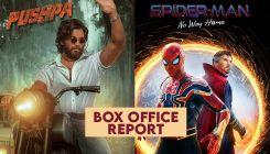Allu Arjun starrer Pushpa and Tom Holland film Spider-Man: No Way Home rule the box office
