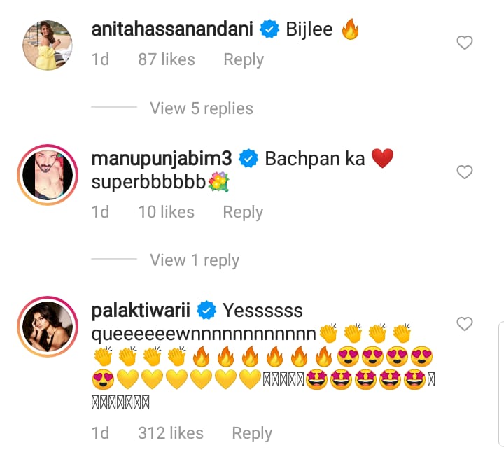 shweta tiwari, tv actress shweta tiwari, shweta tiwari saree pics