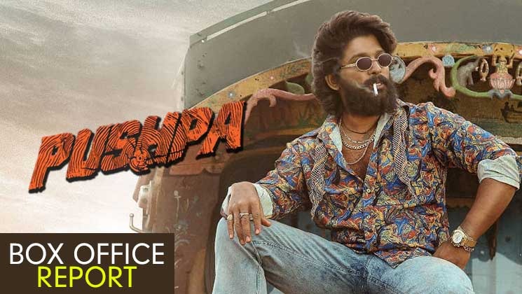 pushpa, pushpa the rise, pushpa box office, pushpa day 6 collection