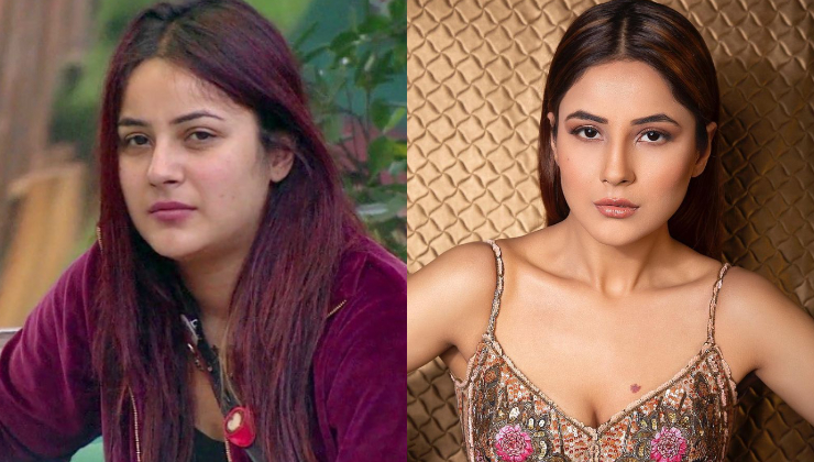 Shehnaaz Gill weight loss