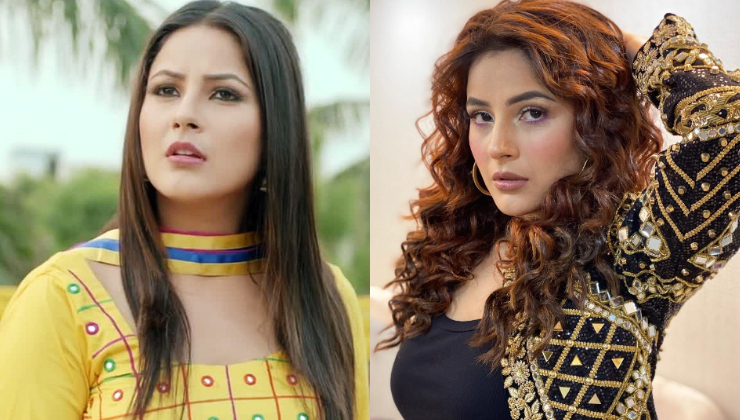 Shehnaaz Gill weight loss