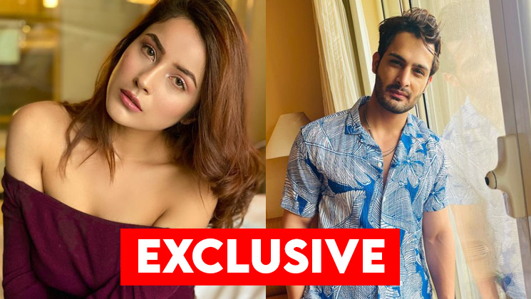 Umar Riaz, Shehnaaz Gill, Bigg Boss 15