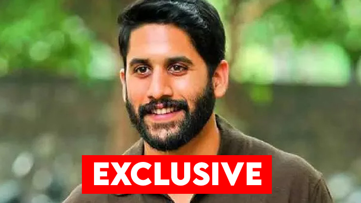 Naga Chaitanya, majili, naga chaitanya majili