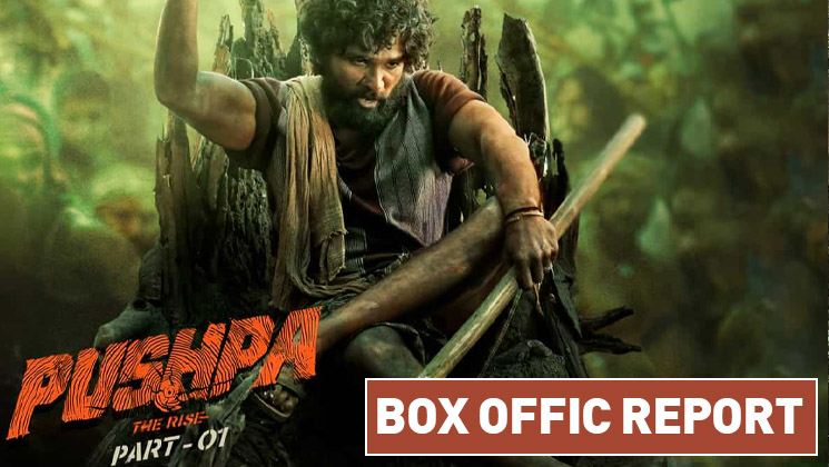 pushpa the rise, allu arjun, pushpa box office report,