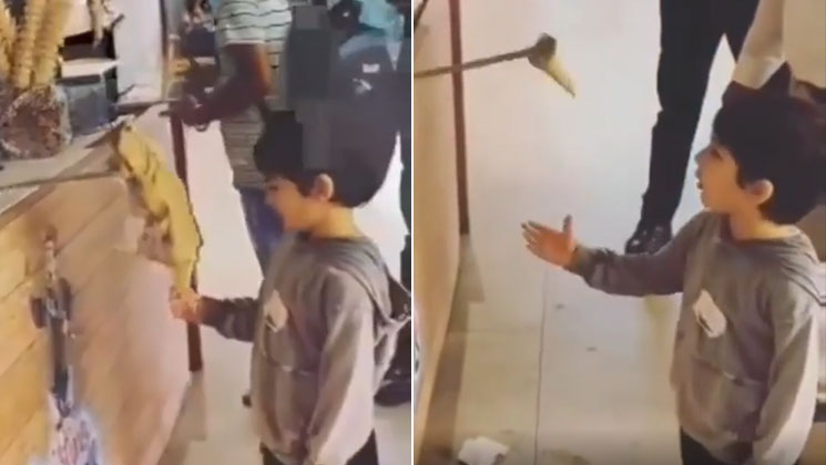 Taimur Ali Khan, Kareena Kapoor son, taimur, taimur video