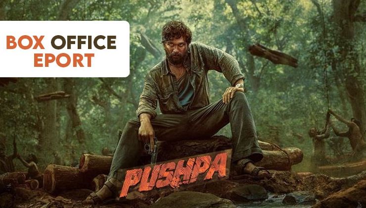 Pushpa Box Office: Allu Arjun starrer shows no signs of slowing down