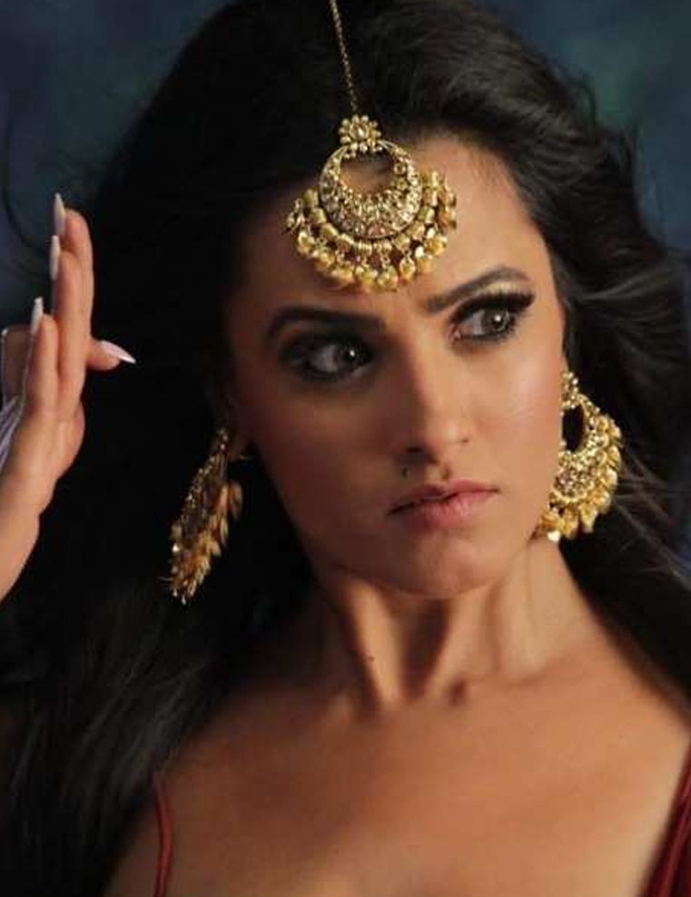 Anita Hassanandani, naagin actresses pay, naagin 6,