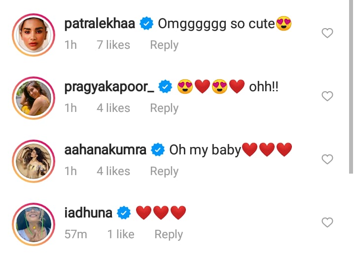 dia mirza, dia mirza son, 