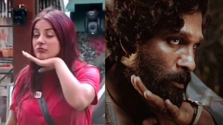 shehnaaz gill, allu arjun, pushpa signature style,shehnaaz gill bigg boss 13