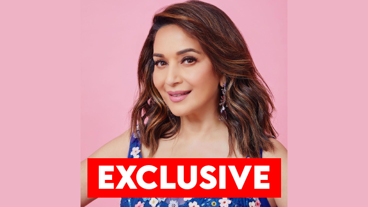 madhuri dixit, the fame game, madhuri dixit