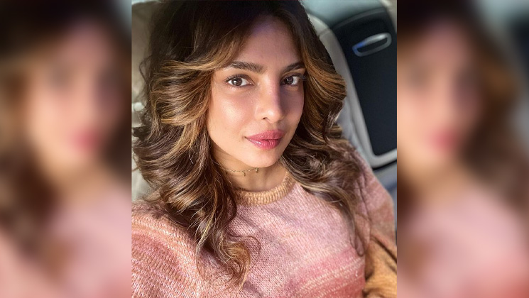 priyanka chopra, priyanka chopra jonas, nick jonas,