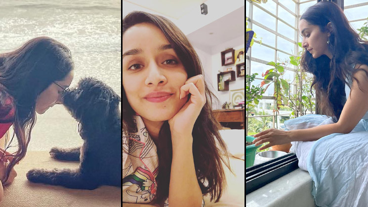 shraddha, shraddha kapoor home, shraddha kapoor house tour,