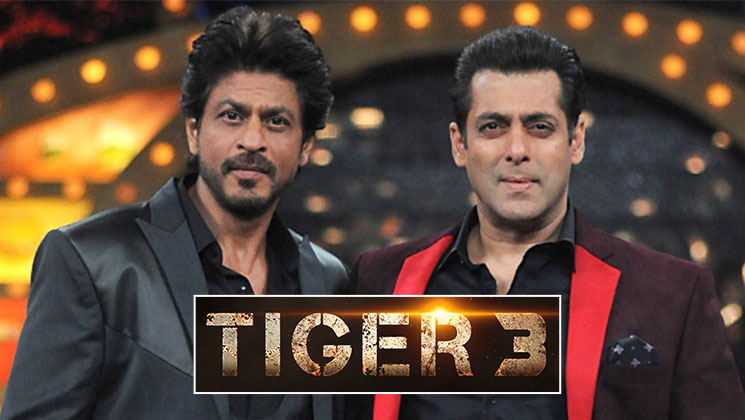 shah rukh khan, salman khan tiger 3