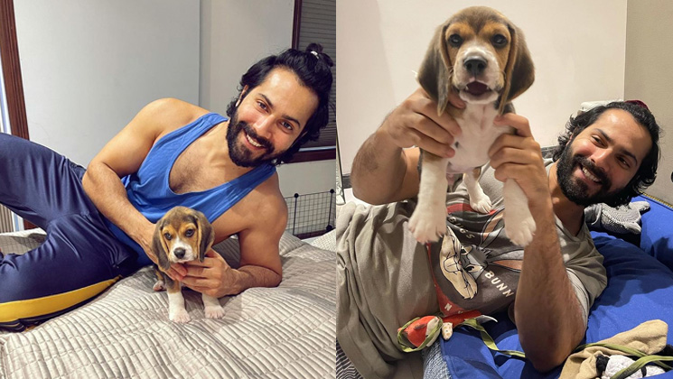 varun dhawan pet dog, varun dhawan joey, varun dhawan