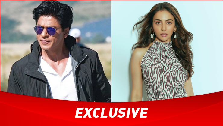 Rakul Preet Singh, shah rukh khan, rakul, srk