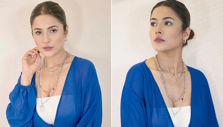 Shehnaaz Gill, bigg boss 13, salman khan