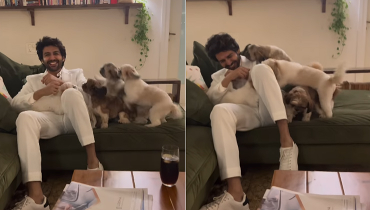 kartik aaryan, katori aaryan