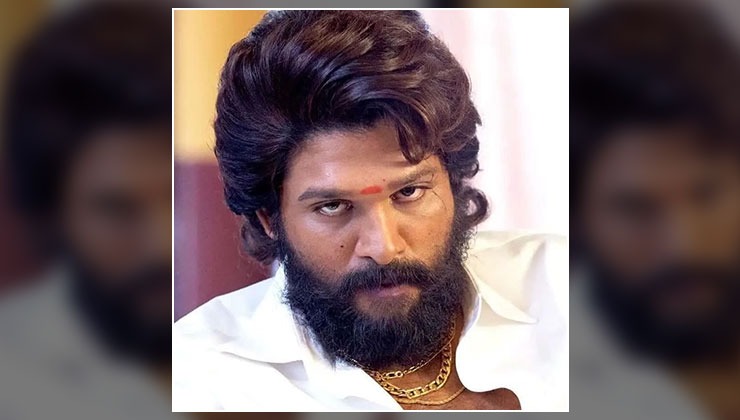 allu arjun, pushpa actor