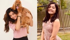 Rashmika Mandanna gives sassy reply to report claiming she 'demands flight tickets for her pet dog'