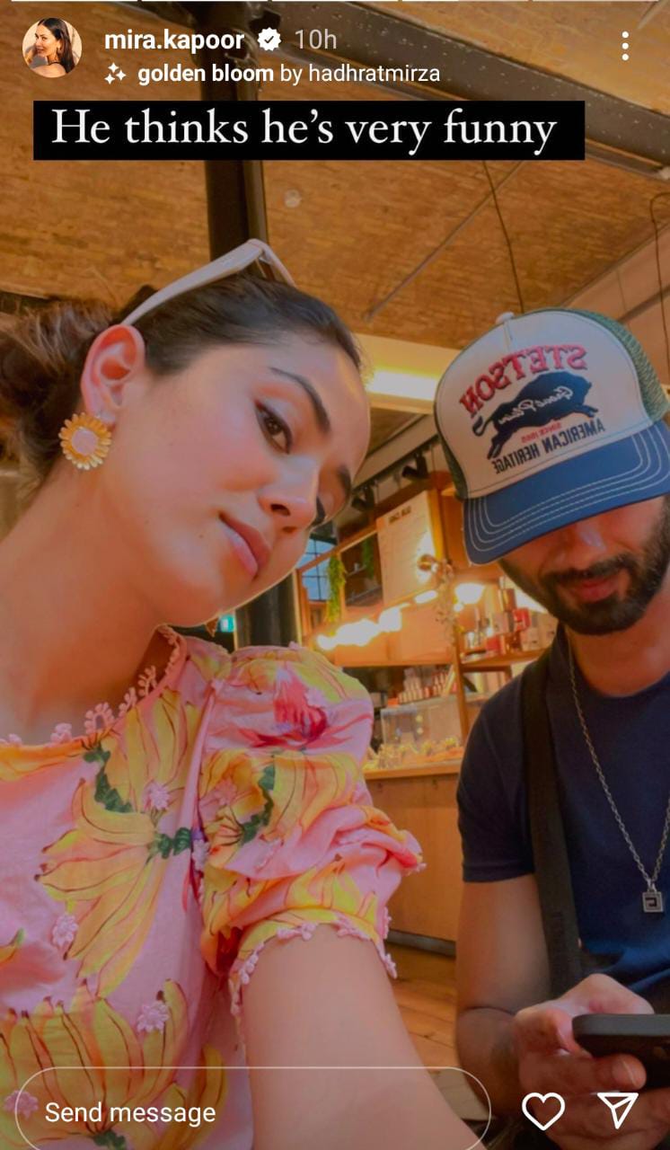 shahid kapoor, mira rajput