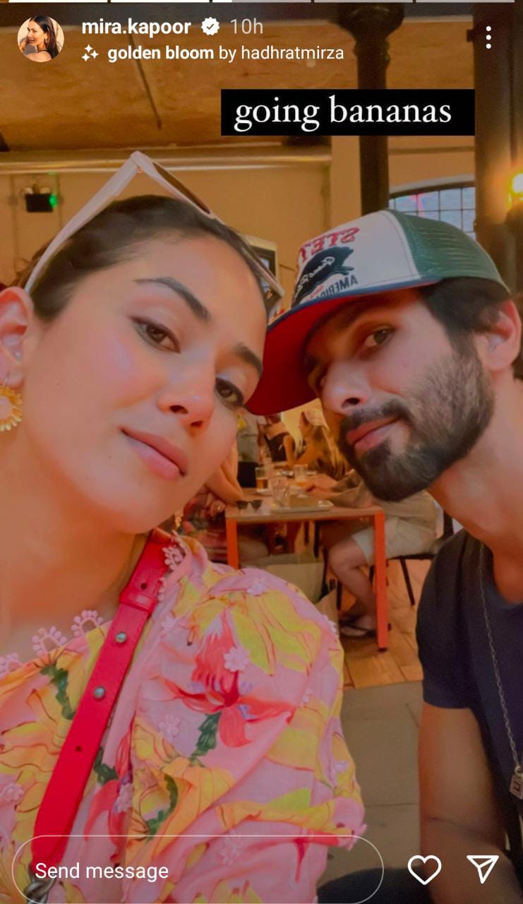 shahid kapoor, mira rajput