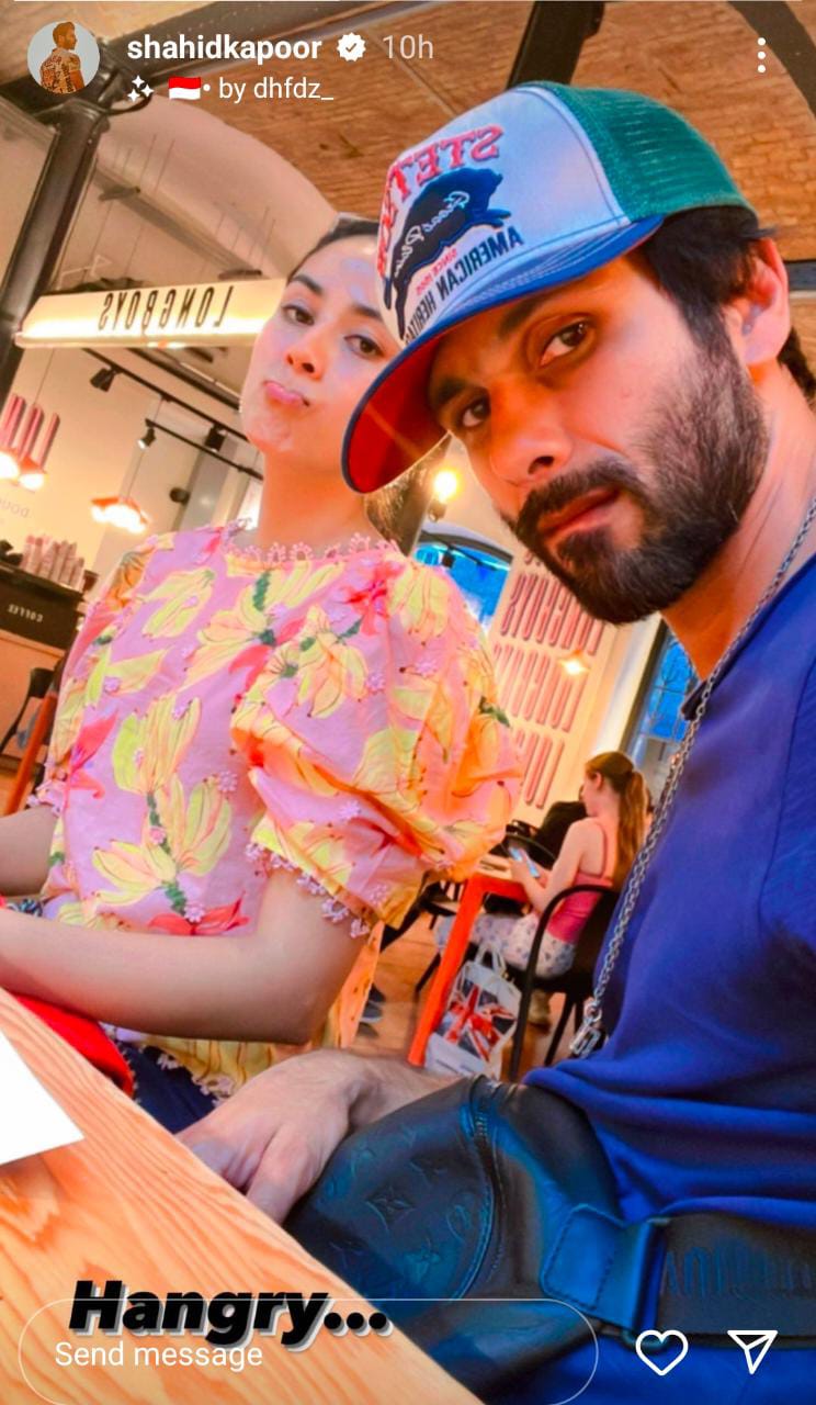 shahid kapoor, mira rajput