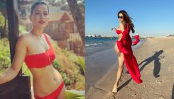 Nia Sharma to Mouni Roy: TV actresses who looked fiery hot in red bikinis