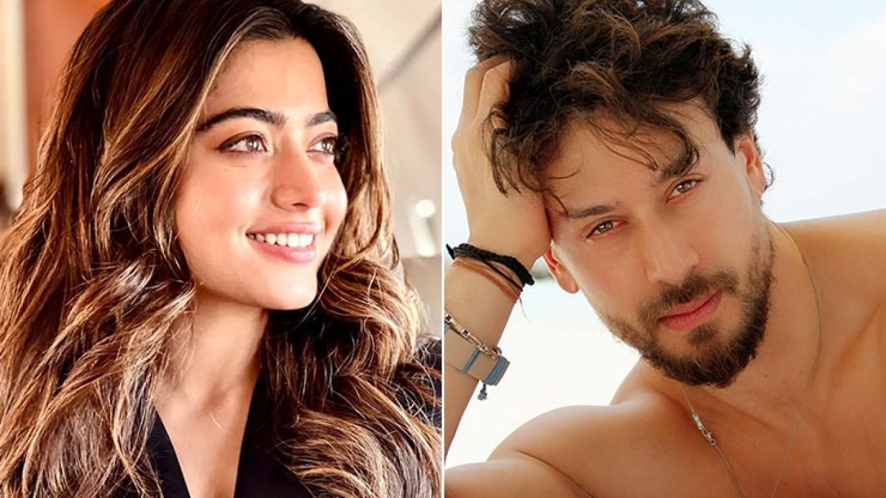 Rashmika to star opposite Tiger in Shashank Khaitan's next ? | Bollywood  Bubble