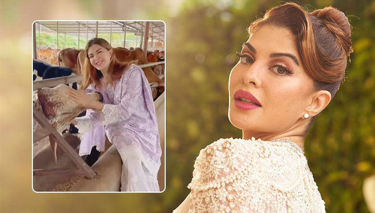 Jacqueline Fernandez, birthday celebration, birthday