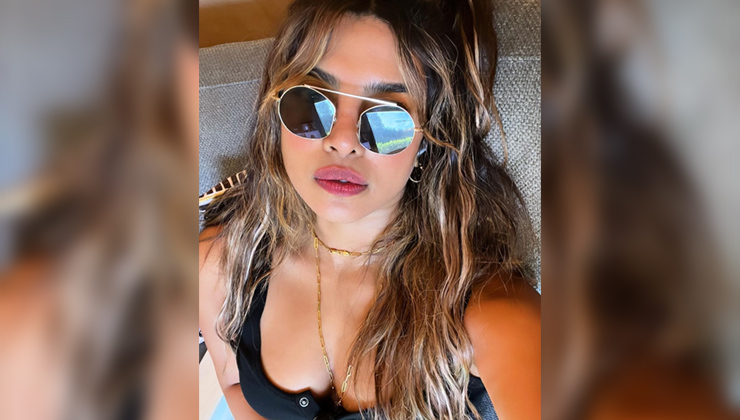 Priyanka Chopra, nick jonas, priyanka chopra selfie