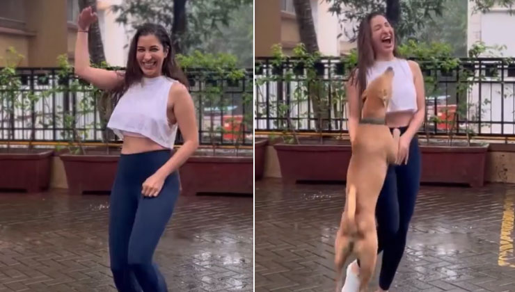 sophie choudry, sophie choudry instagra, sophie choudry pet dog