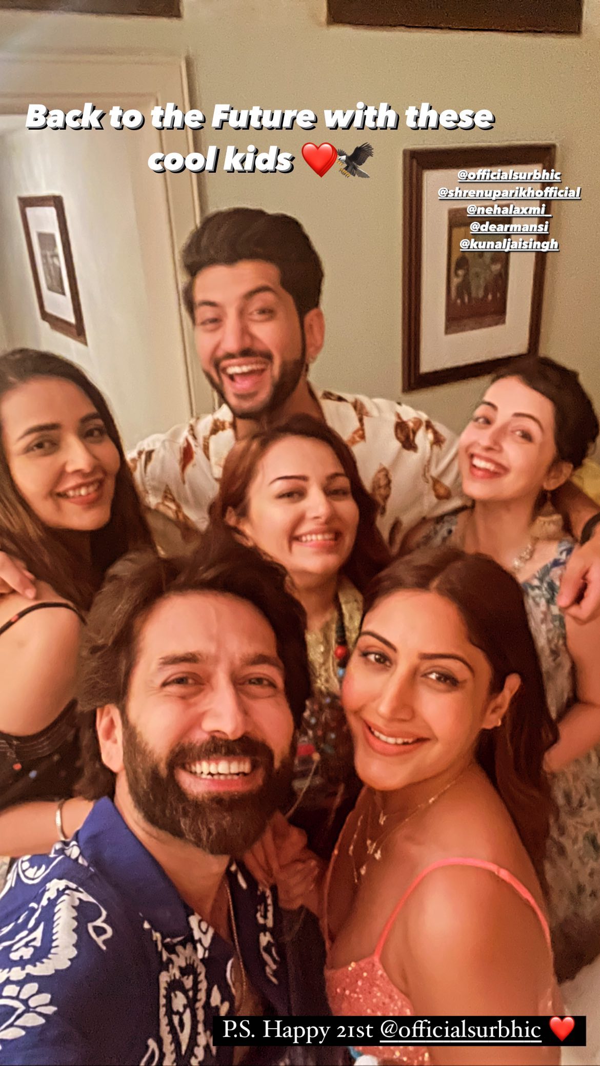 nakuul mehta, surbhi chandna