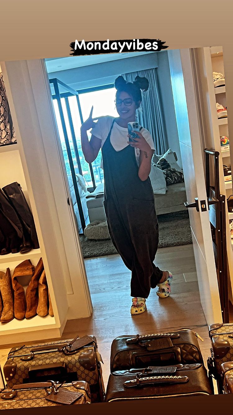 priyanka chopra, priyanka chopra jonas, jee le zaraa,