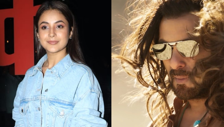 shehnaaz gill, salman khan