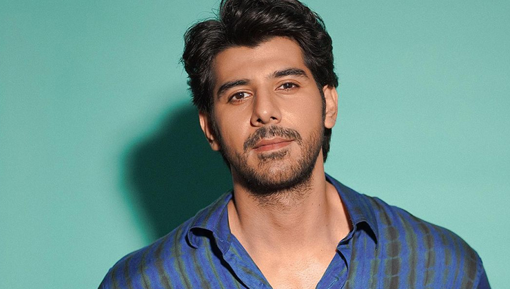 Pavail Gulati, goodbye, star cast fees